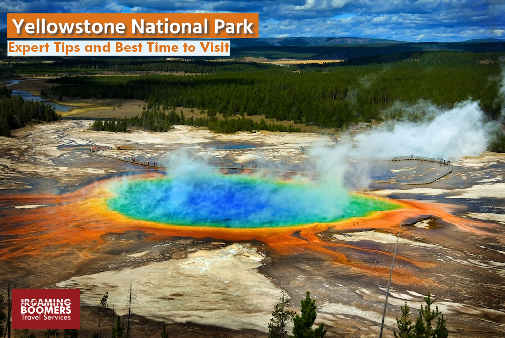 Yellowstone Expert Tips and Best Time to Visit