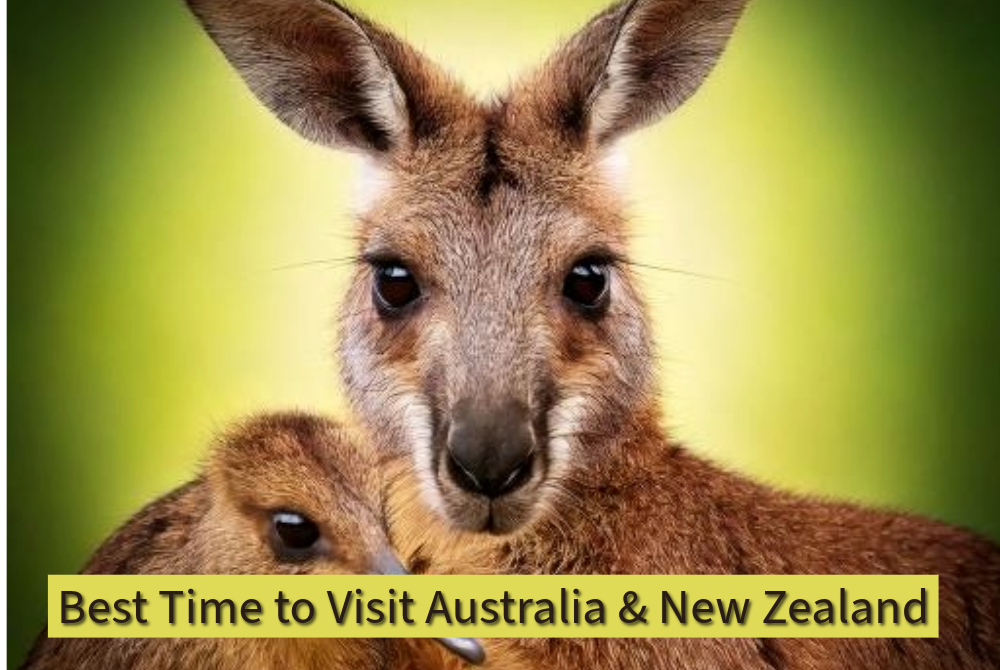 Best Time to Visit Australia and New Zealand